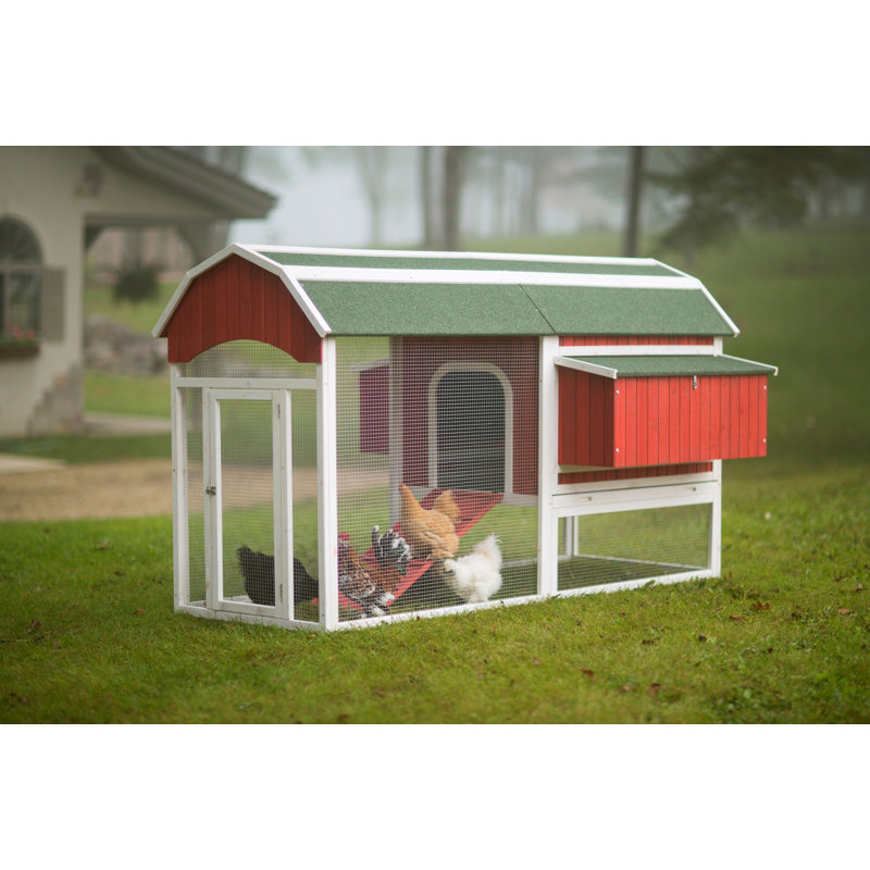 Archie & Oscar™ Hermione 33.93 Square Feet Chicken Coop with Chicken